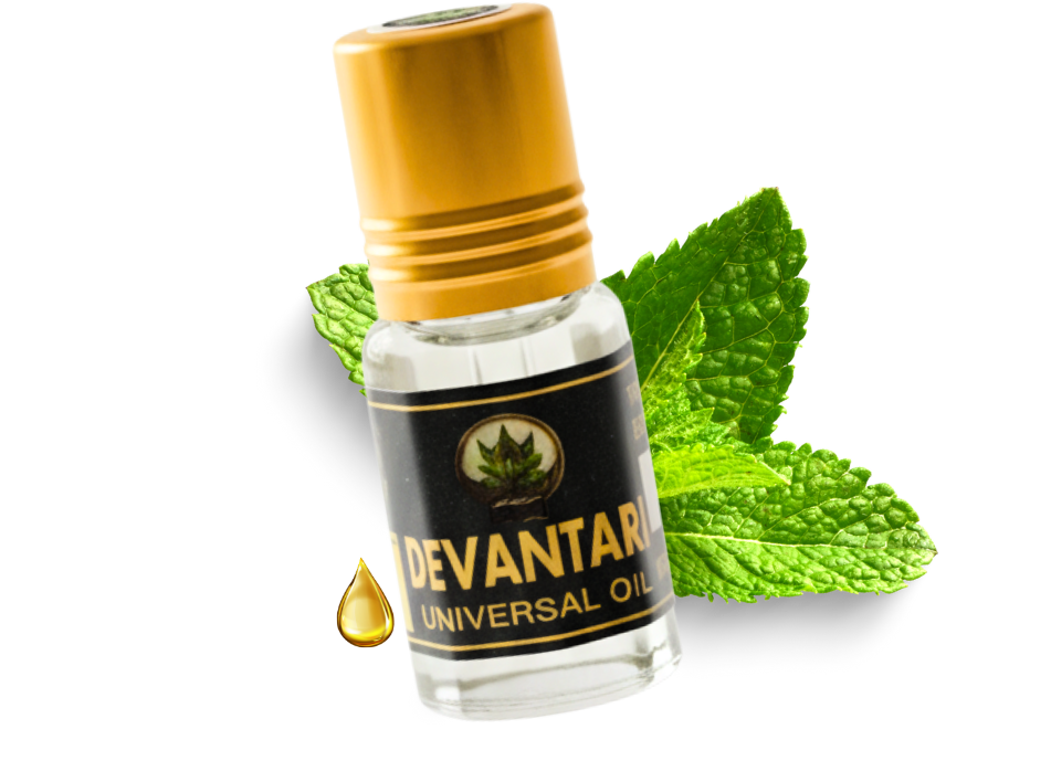 Untitled 951 x 689 px 1